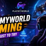 Why PlayMyWorld Gaming is a must to try